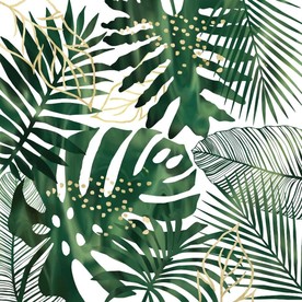 北欧风简约龟背叶树叶高清图片