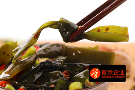 麻辣海带