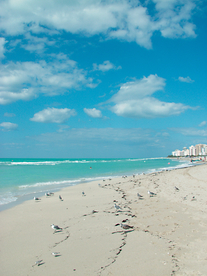 沙滩海岸海滩图片