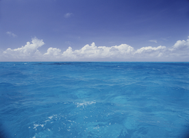 沙滩海岸海滩图片