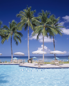 马尔代夫毛里求斯塞舌尔海岸