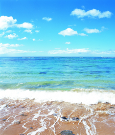 沙滩海滩海岸图片