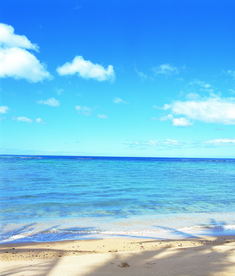 沙滩海滩海岸图片