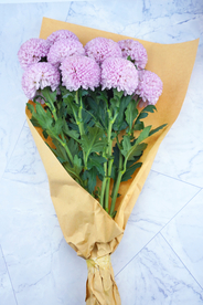 插花花艺花卉图片