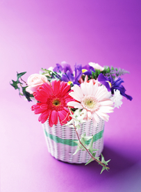 插花花艺花卉图片