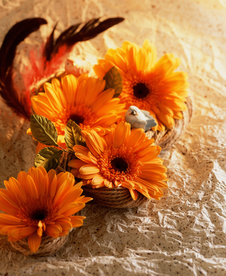 插花花艺花卉图片