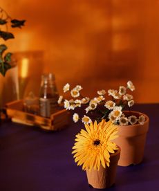 插花花艺花卉图片