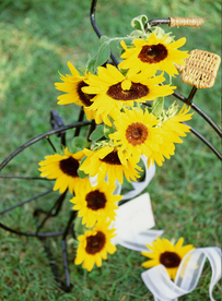 插花花艺花卉图片