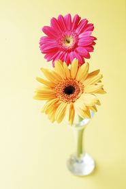 插花花艺花卉图片