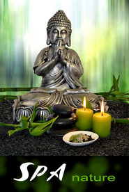 SPA养生