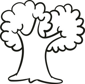 小树