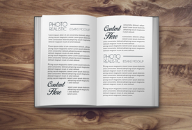 硬壳厚书籍样机