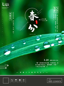 春分节气海报