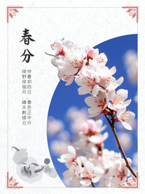 春天春分节气海报