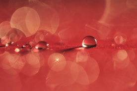 露水露珠水珠图片背景