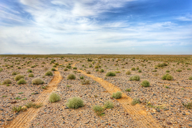 沙漠戈壁荒野遗迹图片