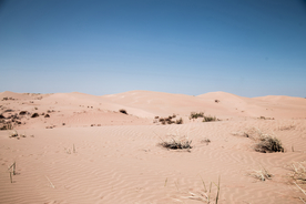 沙漠戈壁荒野遗迹图片