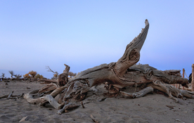 沙漠戈壁荒野遗迹图片