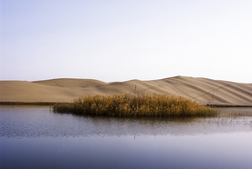 沙漠戈壁荒野遗迹图片