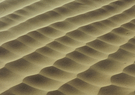 沙漠戈壁荒野遗迹图片