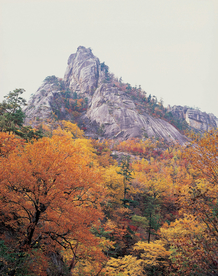 沙漠戈壁荒野遗迹图片