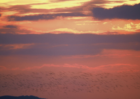 沙漠戈壁荒野遗迹图片