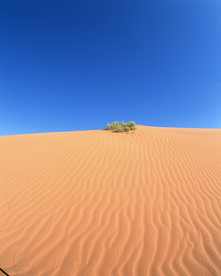 沙漠戈壁荒野遗迹图片