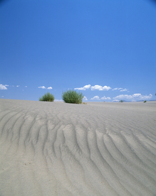 沙漠戈壁荒野遗迹图片