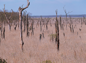 沙漠戈壁荒野遗迹图片
