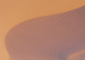 沙漠戈壁荒野遗迹图片