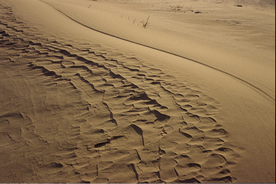 沙漠戈壁荒野遗迹图片