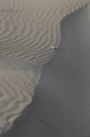 沙漠戈壁荒野遗迹图片