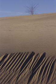 沙漠戈壁荒野遗迹图片