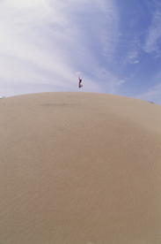 沙漠戈壁荒野遗迹图片