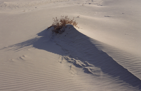 沙漠戈壁荒野遗迹图片