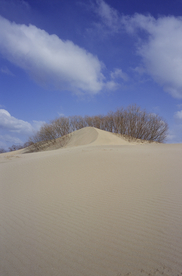沙漠戈壁荒野遗迹图片