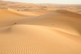 沙漠戈壁荒野遗迹图片