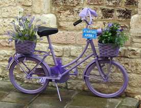 自行车共享单车车技图片