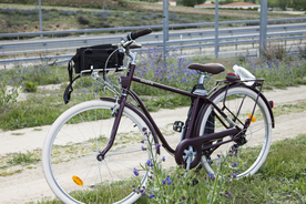 自行车共享单车车技图片