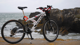 自行车共享单车车技图片