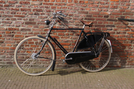 自行车共享单车车技图片