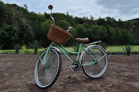 自行车共享单车车技图片