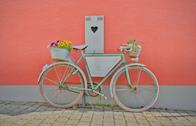 自行车共享单车车技图片