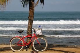 自行车共享单车车技图片