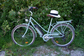 自行车共享单车车技图片