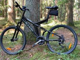 自行车共享单车车技图片