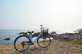 自行车共享单车车技图片