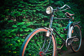 自行车共享单车车技图片