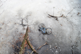 自行车共享单车车技图片