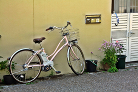 自行车共享单车车技图片